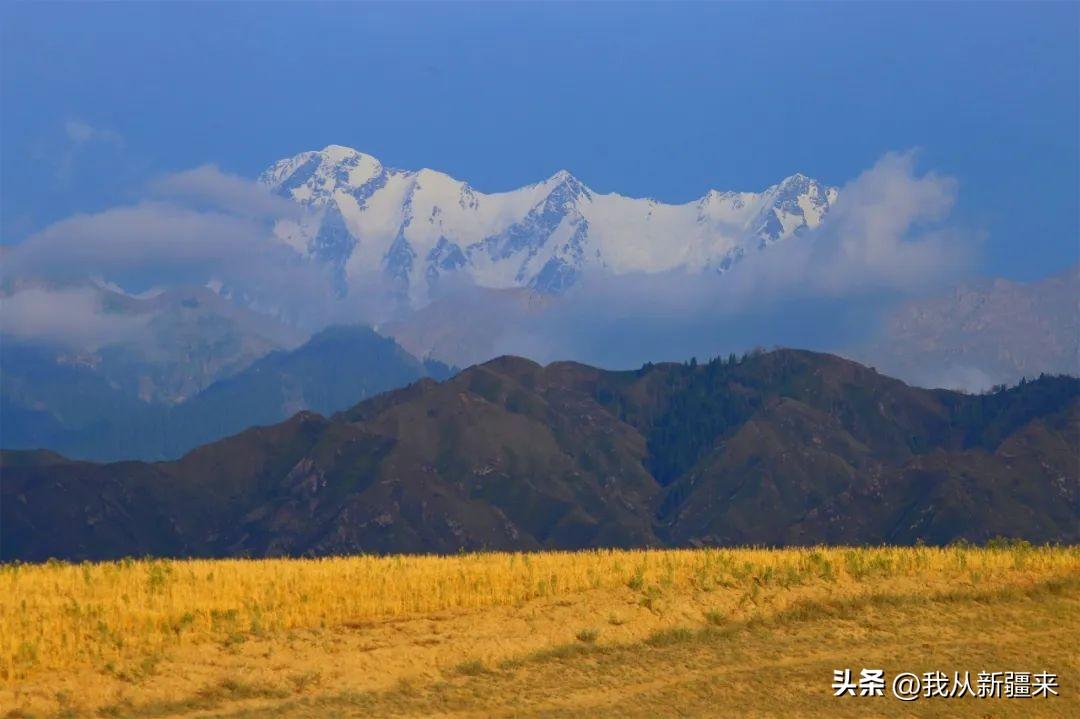 湖北武当山金顶银装素裹，宛若仙境