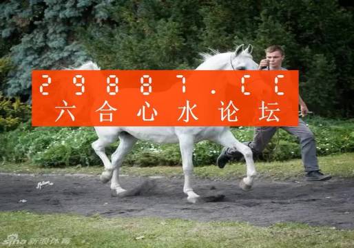 777778888精准跑狗揭秘最新智慧,777778888精准跑狗_{关键词3}