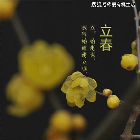 立春吃什么，传统美食与健康养生大解密