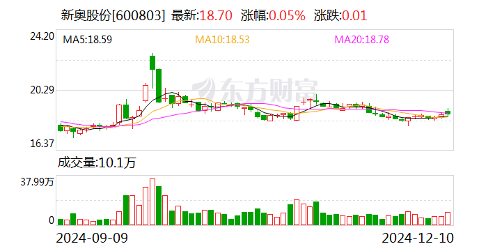 新奥天天正版资料大全助你实现梦想的新年目标,新奥天天正版资料大全_pro33.377