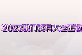 2023管家婆资料正版大全澳门，真相揭秘！入门版23.819背后的惊天秘密，你绝对不能错过！