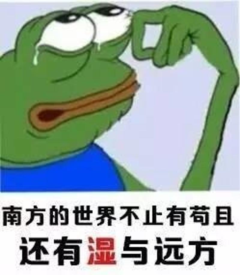 惊！南方人最怕的回南天强势来袭，你家墙壁还好吗？