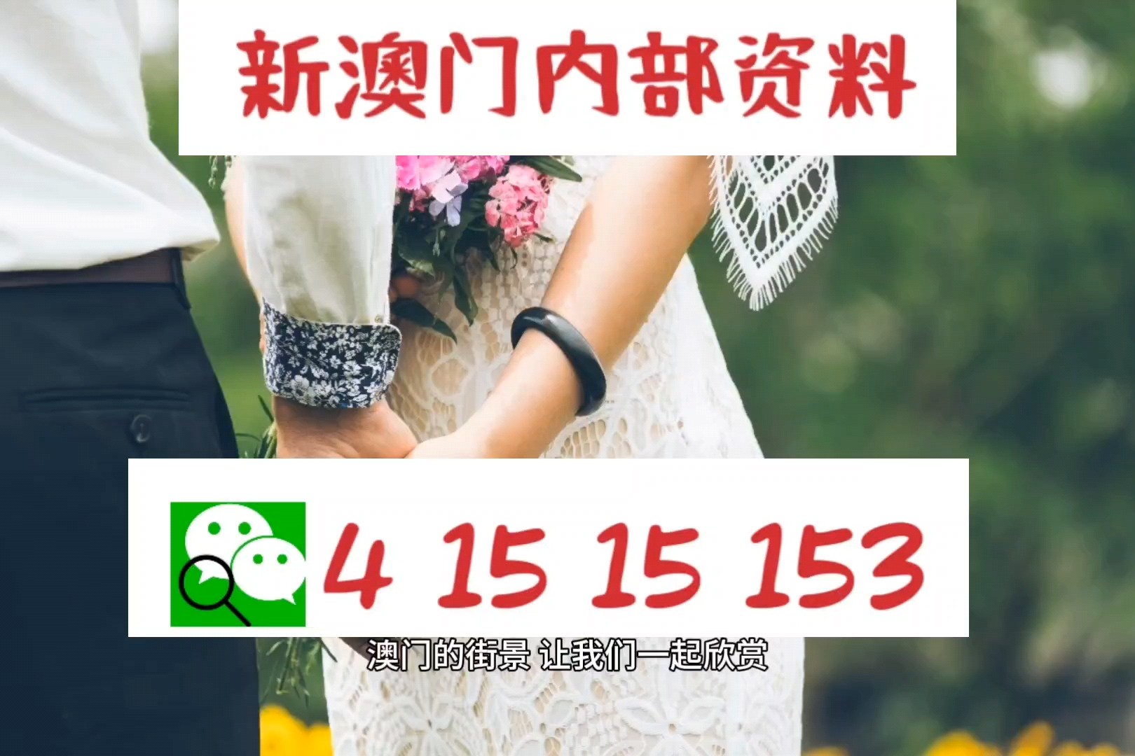 惊爆！2025澳门精准正版图库V21.335揭秘，这些词语解释竟暗藏玄机！