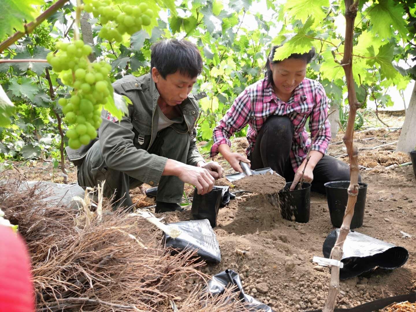 月薪3千，癌症晚期，37万贷款压身！他最后的救命稻草竟是...