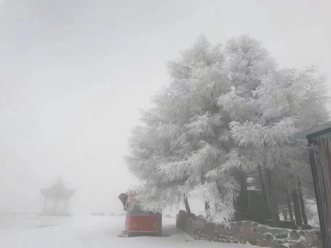 惊！北京竟然下雪了！市民们纷纷惊呼，这是要变天了吗？