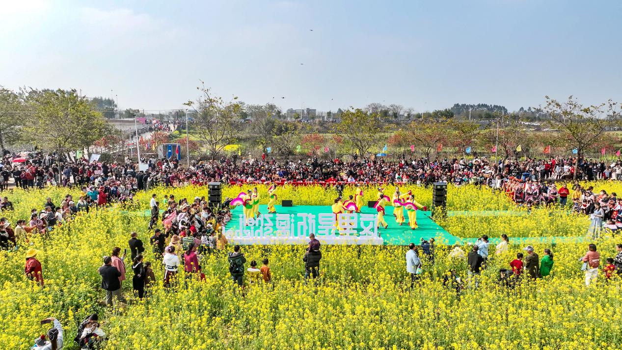 乡镇书记回应尬舞宣传油菜花