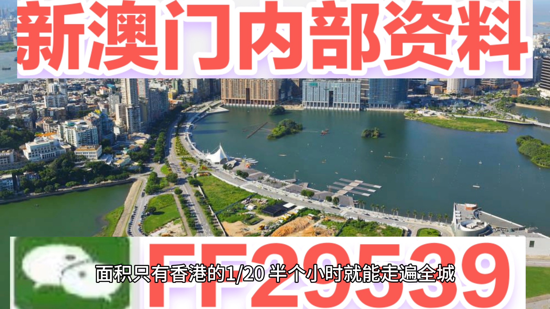 惊爆！2025年新澳门天天开彩精英版15.310内部数据泄露，市场需求竟如此疯狂！